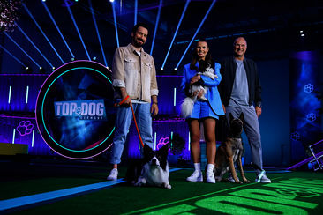 Staffel 2 2022: Top Dog Germany